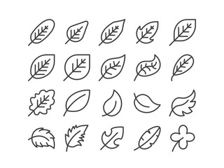 Diagonal Leaf Outline line Icon Set Autumn fall and Spring Concept Minimal Style Illustration Vector EPS 10. Editable Stroke