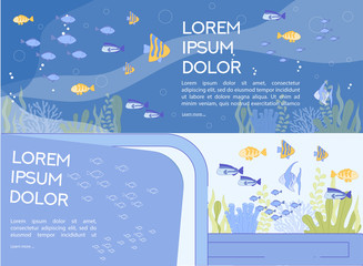 Aquarium Excursion to Underwater Ocean World Set