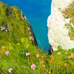 View from top, from the cliff down to the sea. Tops of chalky cliffs covered with green grass,...