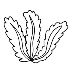 Cute cartoon doodle seaweed isolated on white background. Underwater nature. Vector illustration. 