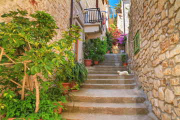 Mediterranean summer cityscape - view of a medieval street with stairs in the Old Town of Hvar, on the island of Hvar, the Adriatic coast of Croatia