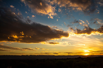 Beautiful sunset in the field. The sky is painted in golden colors.
