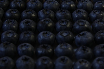 fresh blueberries in a bowl