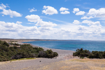 Punta Tombo beach day view, Patagonia, Argentina