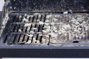 Fungus growing on a used outdoor barbecue grill