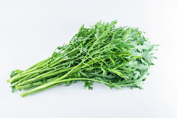 Fresh green vegetables red on white background