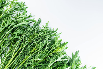 Fresh green vegetables red on white background