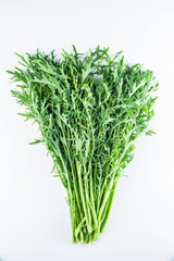 Fresh green vegetables red on white background