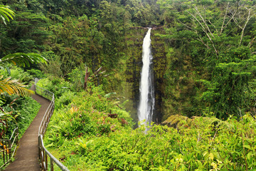 Beautiful Hawaii Big Island nature background. Scenic landscape with waterfall inside rainforest. Akaka Falls State Park, Hawaii Big Island, USA.
