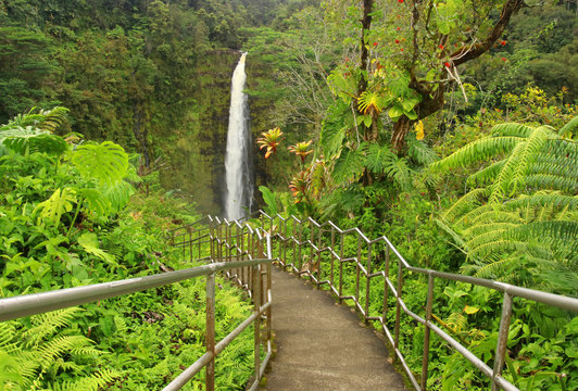 Beautiful Hawaii Big Island nature background. Scenic landscape with boardwalk to waterfall inside the rainforest. Akaka Falls State Park, Hawaii Big Island, USA.