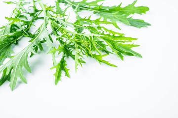 Fresh green vegetables red on white background