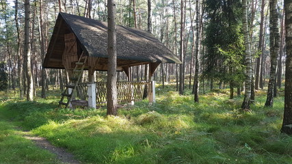 house in the woods © Piotr