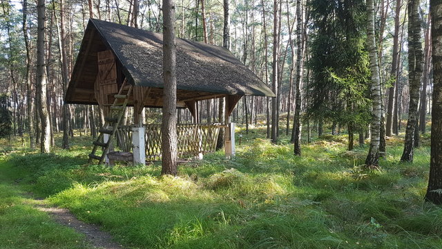 house in the woods
