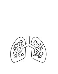 肺(線画)