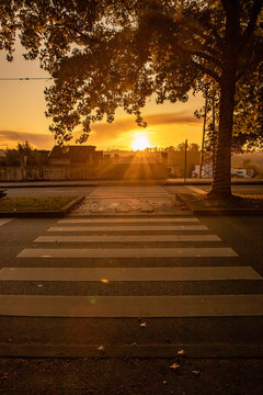 Treadmill At Sunset