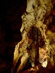 Naklejka premium 秋芳洞内で見た鍾乳石が創る不気味な情景＠山口