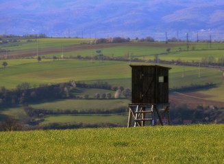 old farm house in field