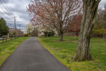 Path in the Park