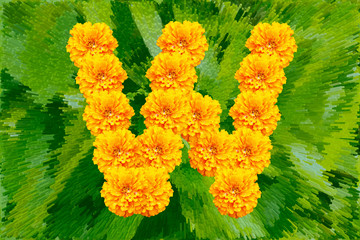 Spring Flower Letter W concept using Marigold. Marigold flower alphabet on white background.