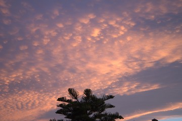 Cielo