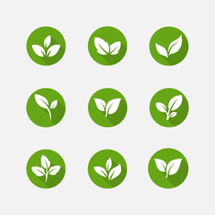 Green leaf ecology nature element vector icon, Leaf Icon, green leaf ecology nature element vector