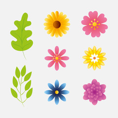 Fototapeta na wymiar set of cute flowers with branches and leafs naturals vector illustration design