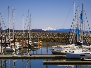 Marina in Sidney, My. Baker in distance