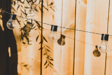 string lights with lightbulb shape and tree branches shadows