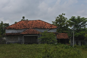 Fototapeta na wymiar An empty house with a bush suitable as a horror situation or an urban legend story
