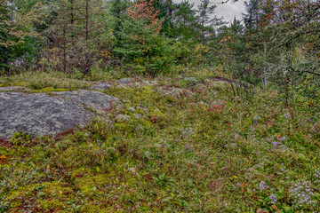 View from northern Ontario Rest Stop