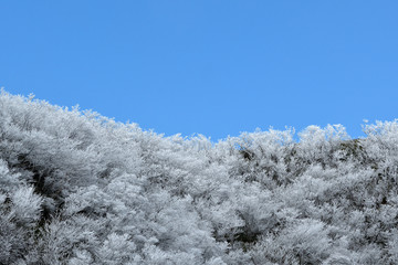 霧氷の山