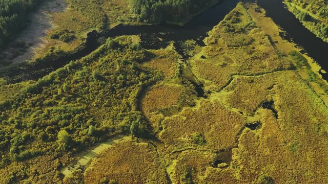 Dobrush, Gomel Region, Belarus. Aerial View Of marsh, River, Forest landscape Near Town Cityscape Skyline In Summer Day. Residential District And River In Bird's-eye View