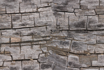 Very old wood, seamless texture.