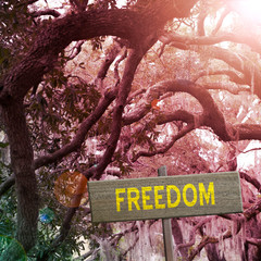 Freedom sign on outdoor background.