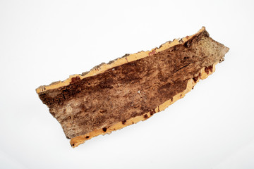 Close up detail of the thick cork bark