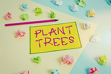 Fototapeta na wymiar Writing note showing Plant Trees. Business concept for process of planting a tree for land cultivation and forestry Colored crumpled papers empty reminder blue yellow clothespin