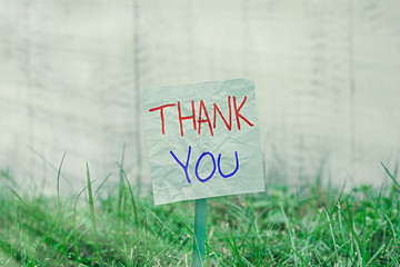 Handwriting text Thank You. Conceptual photo a polite expression used when acknowledging a gift or...