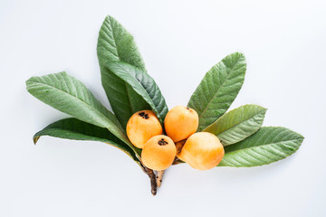Fresh loquat fruit on white background