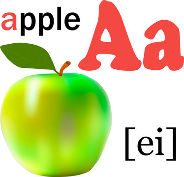 the letter a with a picture of the Apple and the transcription alphabet