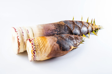 Fresh bamboo shoots on white background
