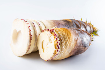 Fresh bamboo shoots on white background
