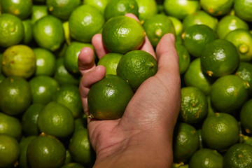 Hand of a woman choosing some green lemons in the supermarket