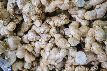 Fresh ginger for sale Inside Paddy's Markets, Sydney with lots of souvenirs, fruits, market stalls and memorabilia for sale