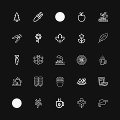 Editable 25 leaf icons for web and mobile