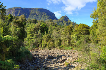 Fototapeta na wymiar Forest landscape in the Kauaeranga Valley, Coromandel Peninsula, New Zealand., with the mountains of the Coromandel Range in the background