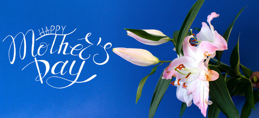 Card, banner, congratulations template on Mother Day