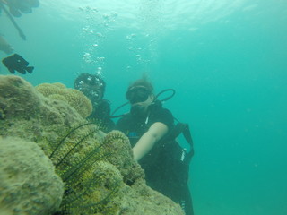 Fototapeta premium Bunch of scuba divers under water