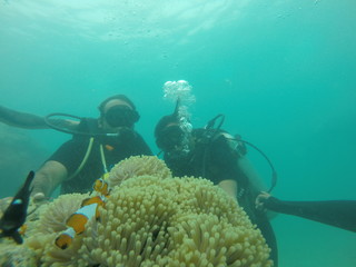 Scuba Dive Picture Underwater