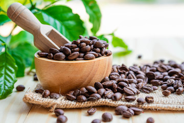 Coffee bean medium roasted in wooden bowl with leaf in fresh morning.