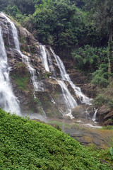 Green plants and trees at Vachiratharn waterfall in Thailand